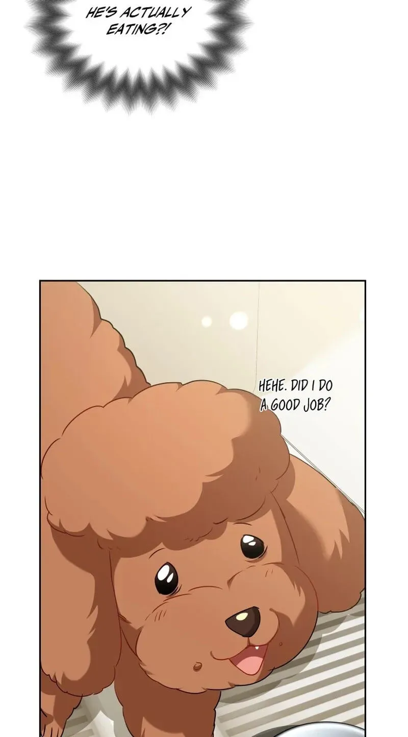 Hello, Mr. Veterinarian! Chapter 139 page 22 - 