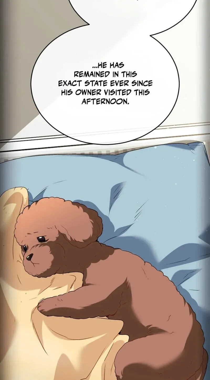 Hello, Mr. Veterinarian! Chapter 139 page 4 - 