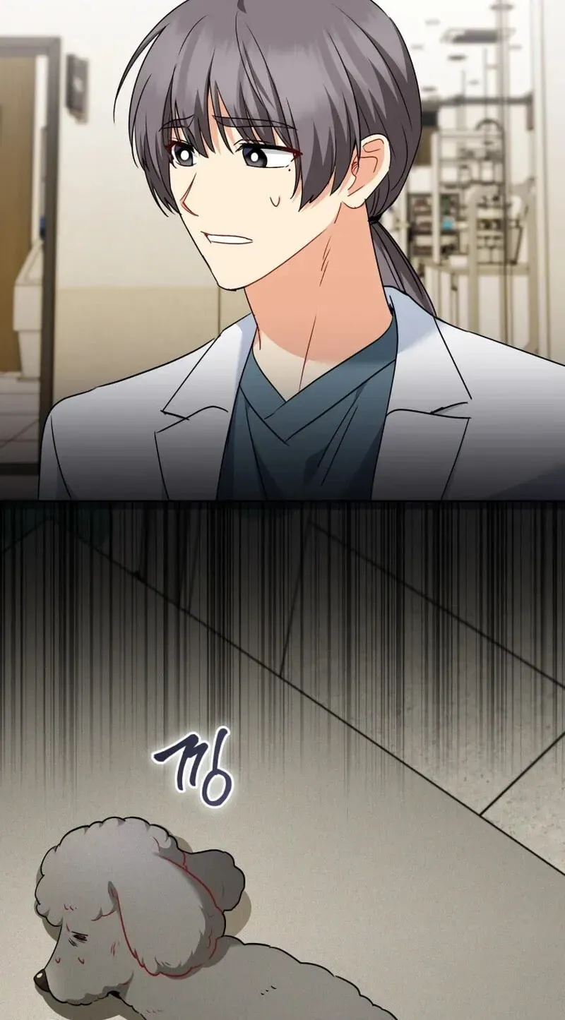 Hello, Mr. Veterinarian! Chapter 139 page 6 - 