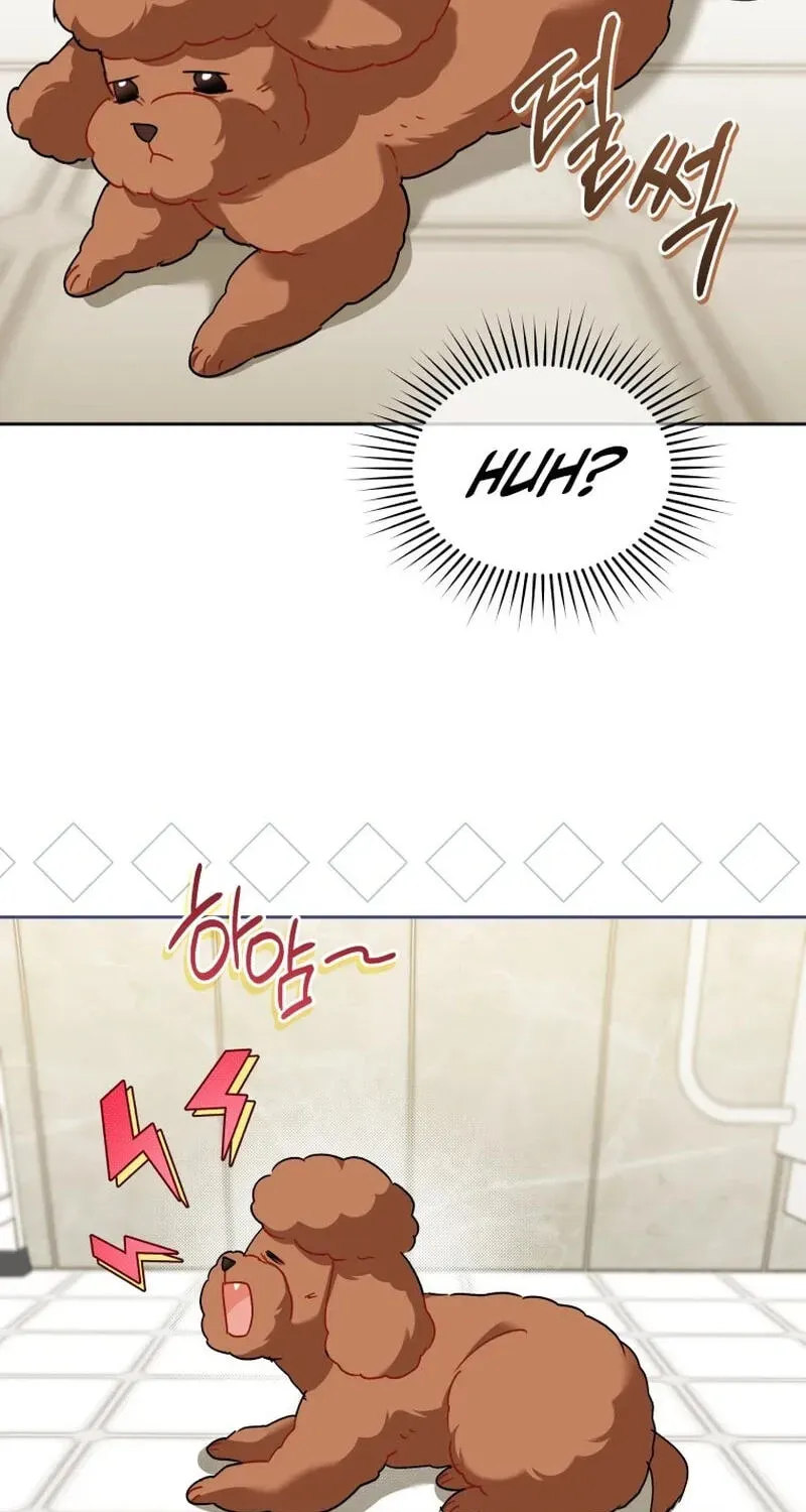 Hello, Mr. Veterinarian! Chapter 139 page 52 - 