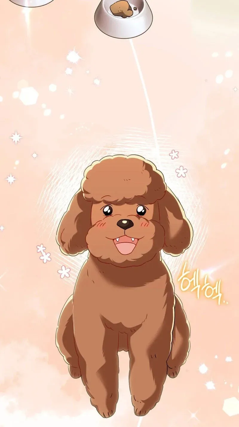 Hello, Mr. Veterinarian! Chapter 139 page 68 - 