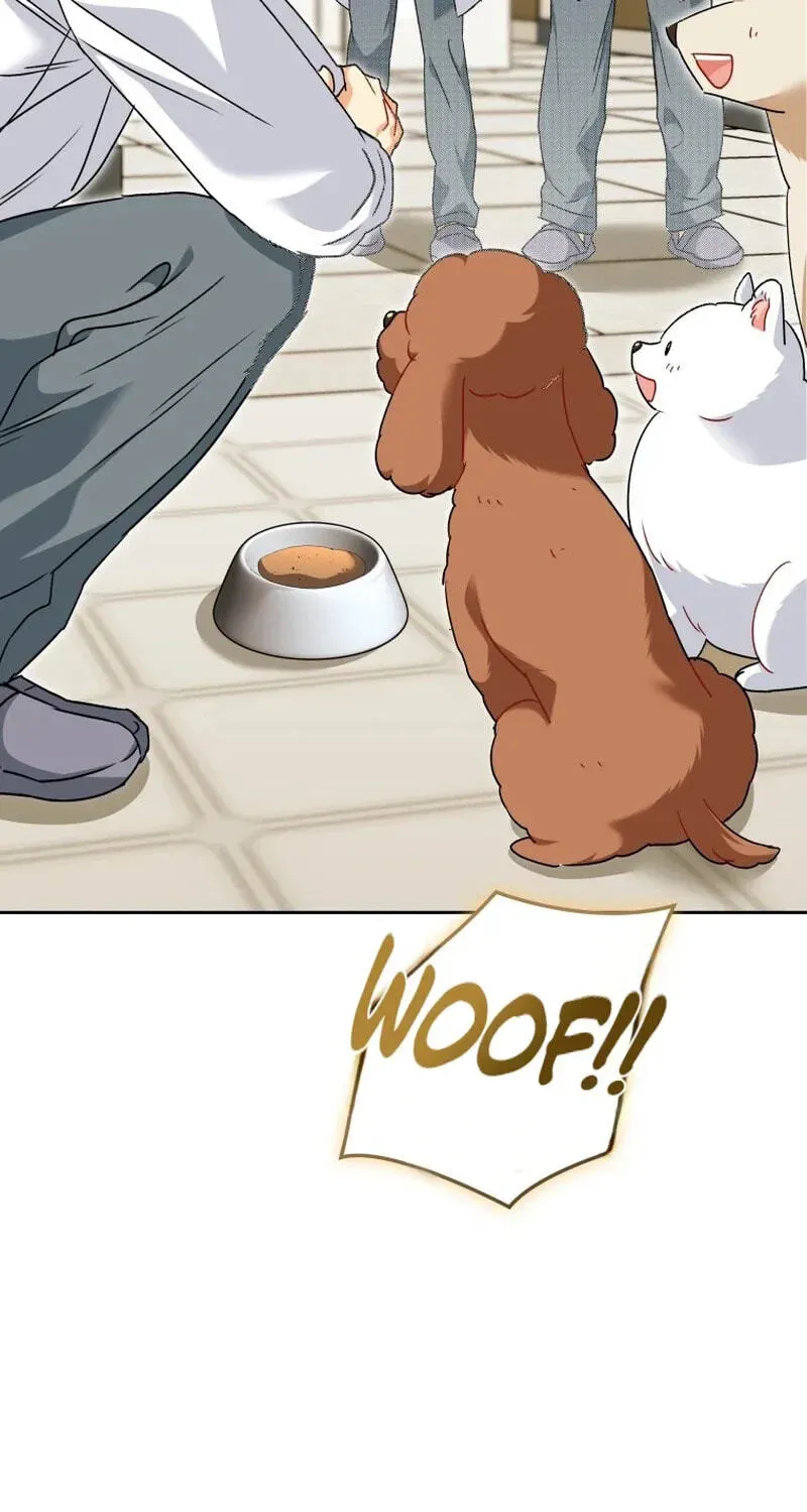 Hello, Mr. Veterinarian! Chapter 139 page 71 - 