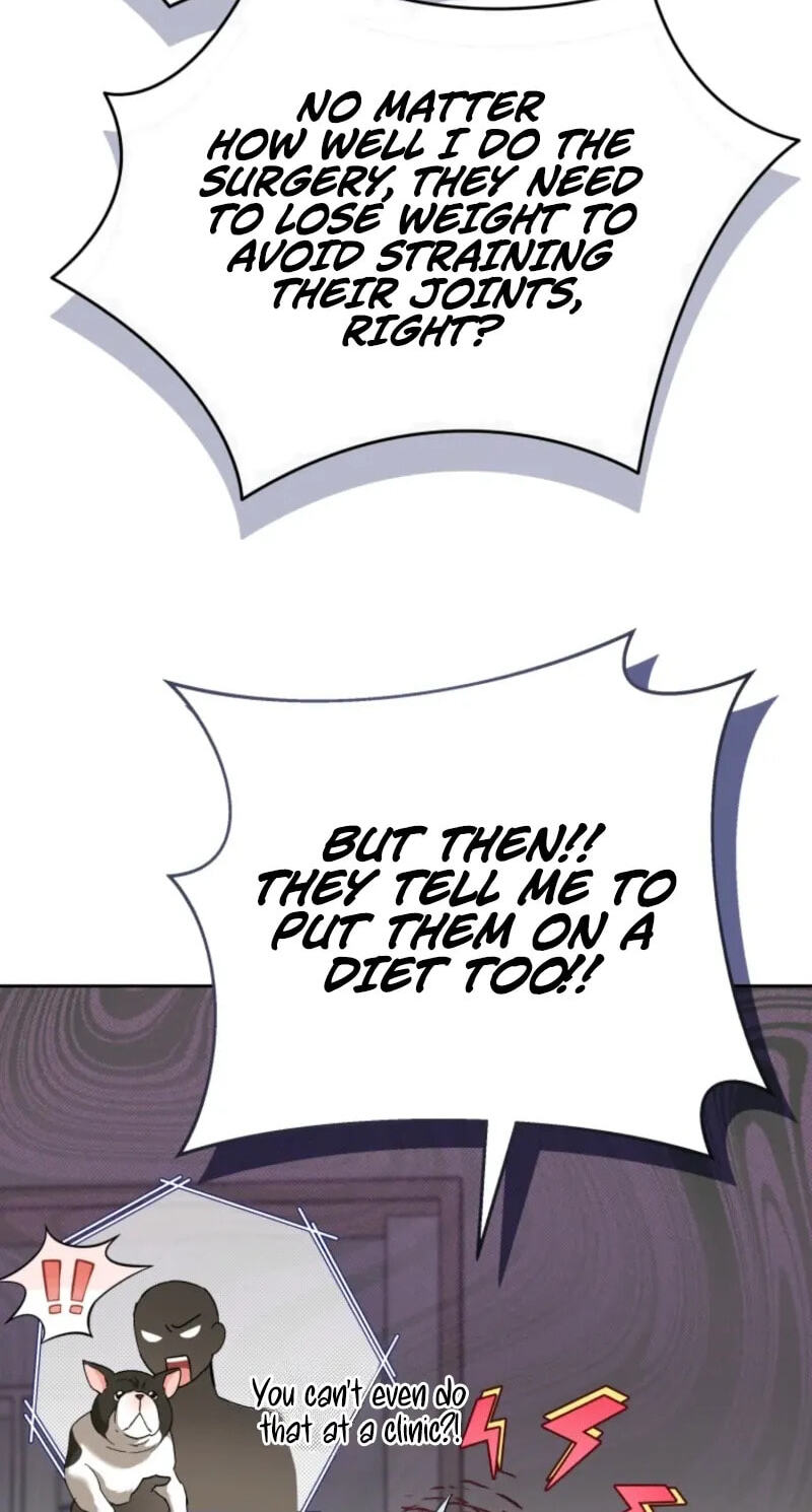 Hello, Mr. Veterinarian! Chapter 140 page 45 - 