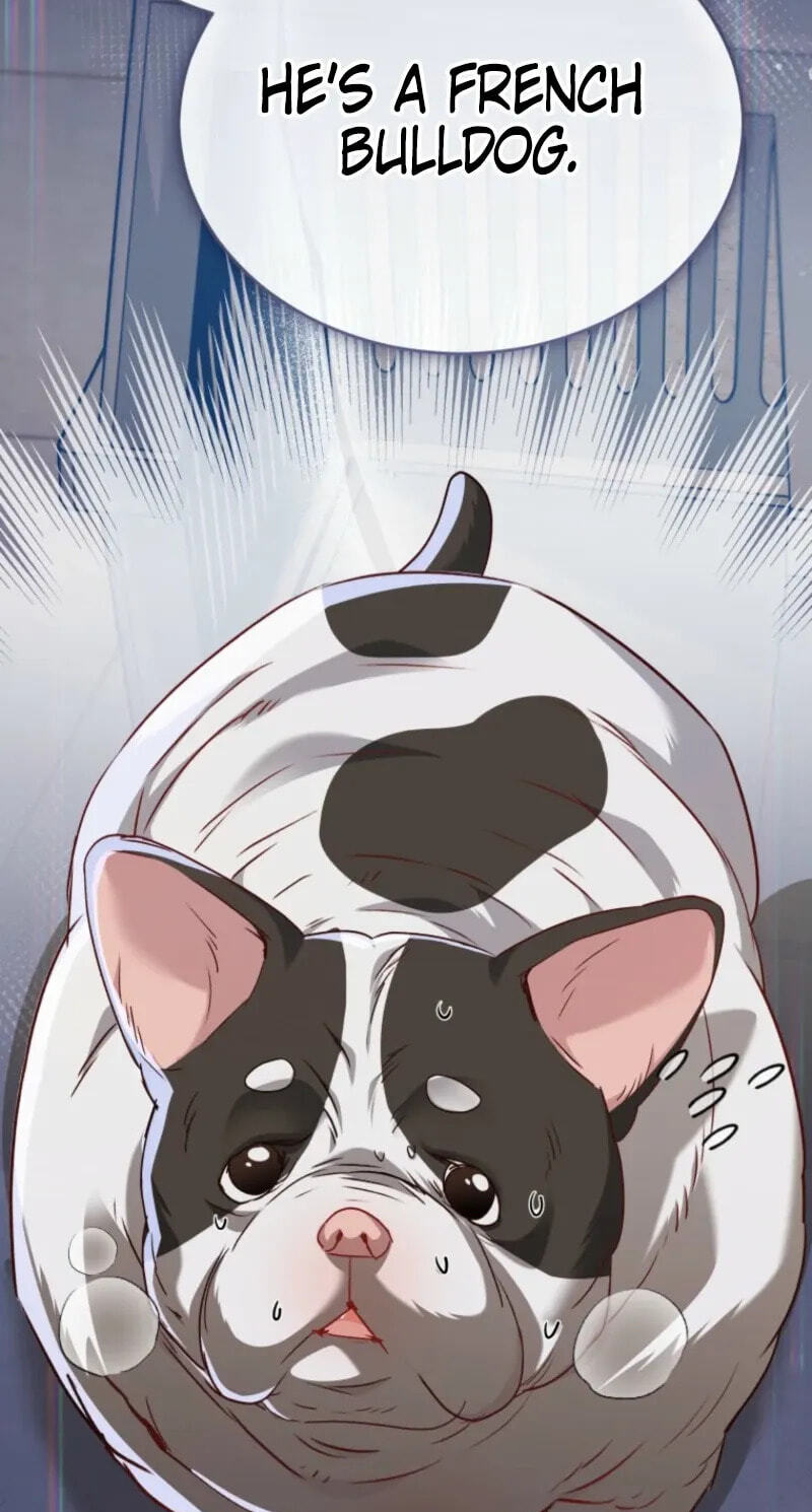 Hello, Mr. Veterinarian! Chapter 140 page 65 - 