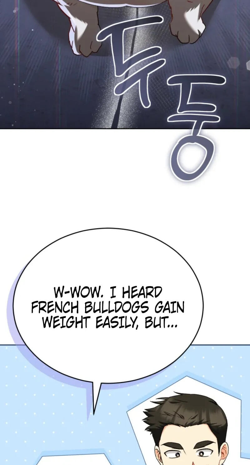 Hello, Mr. Veterinarian! Chapter 140 page 66 - 