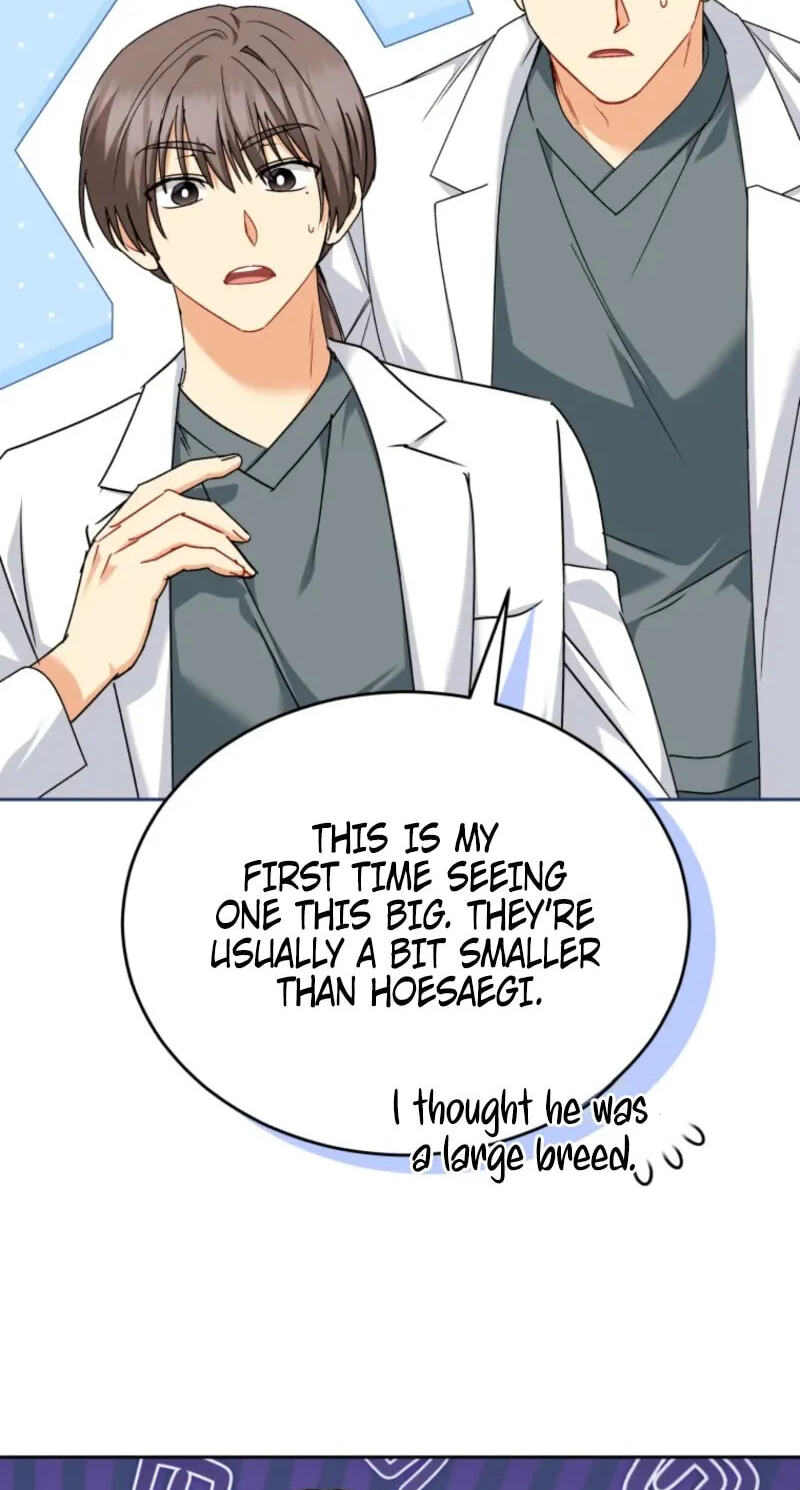 Hello, Mr. Veterinarian! Chapter 140 page 67 - 