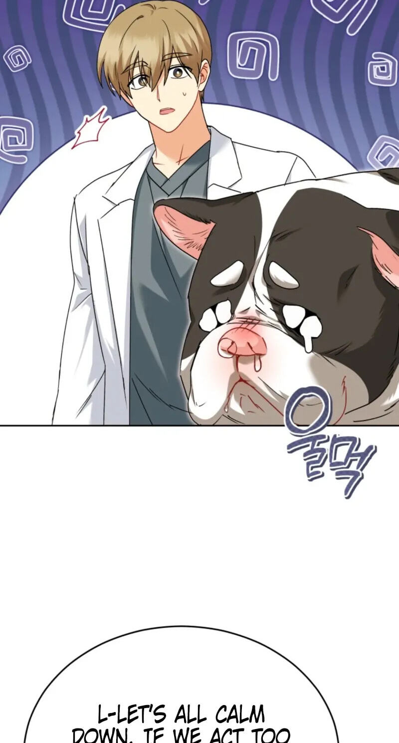 Hello, Mr. Veterinarian! Chapter 140 page 68 - 