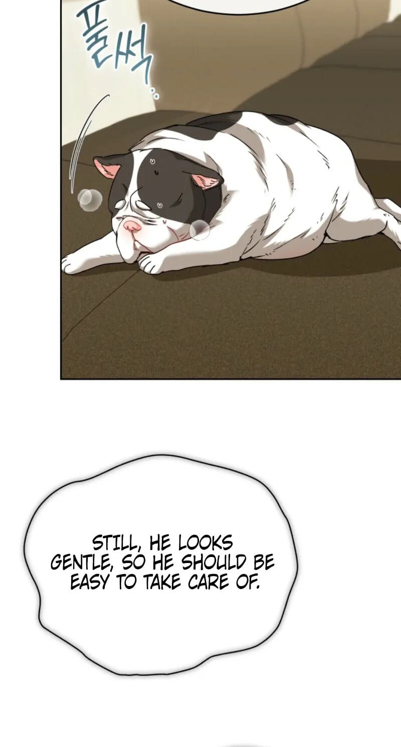 Hello, Mr. Veterinarian! Chapter 140 page 70 - 
