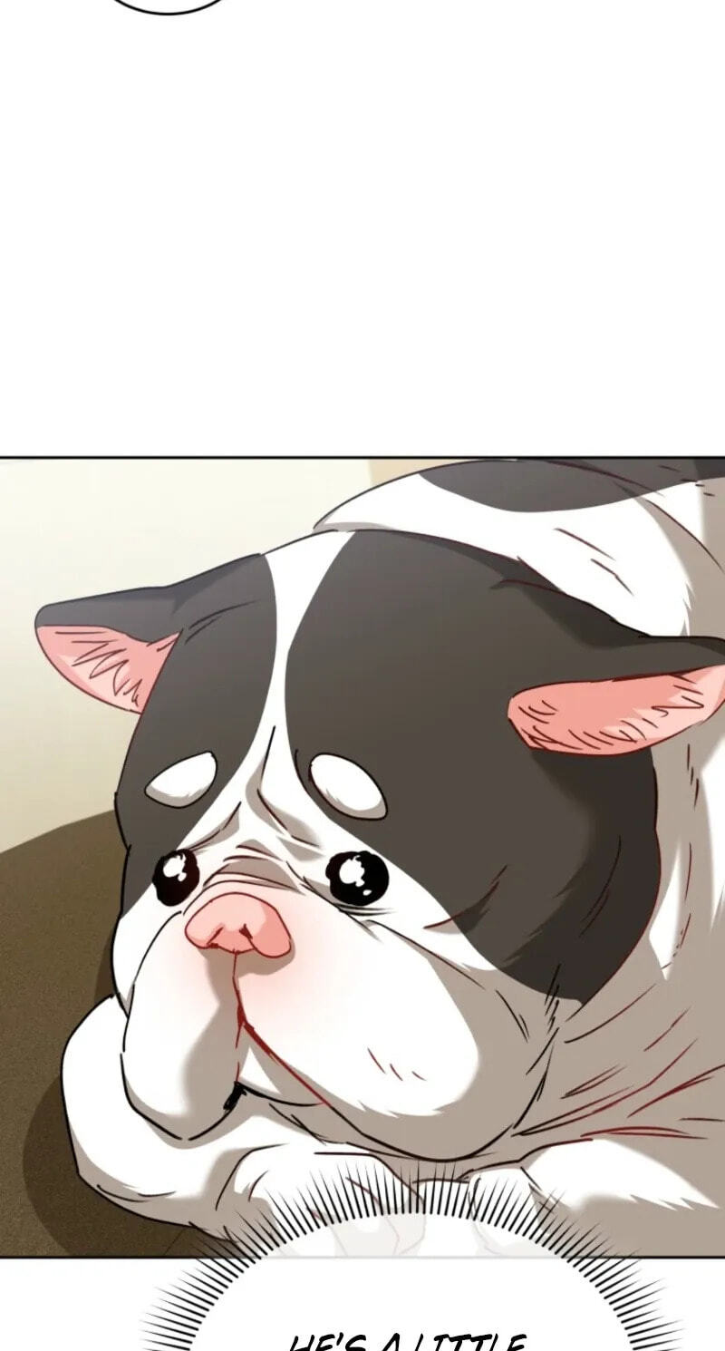 Hello, Mr. Veterinarian! Chapter 140 page 72 - 