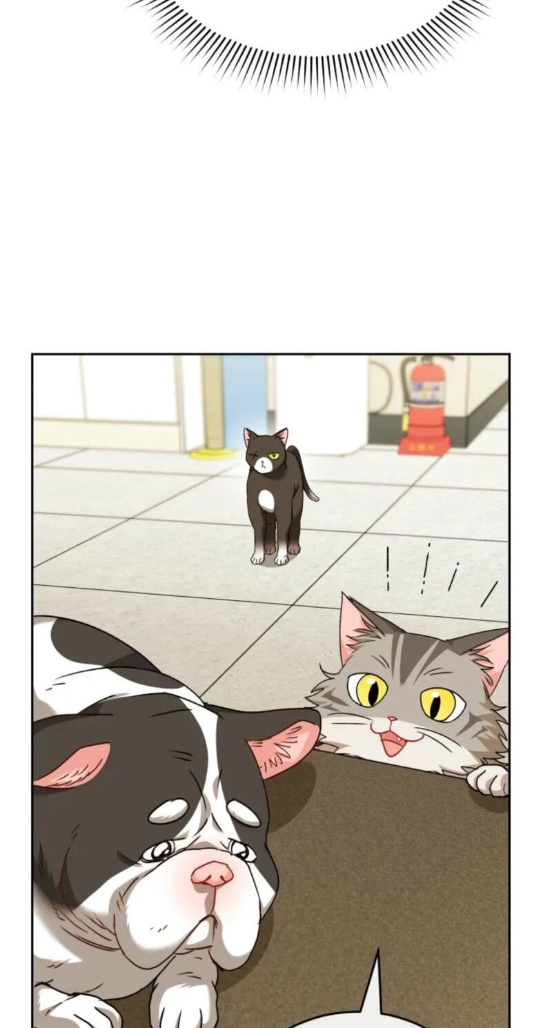 Hello, Mr. Veterinarian! Chapter 140 page 74 - 