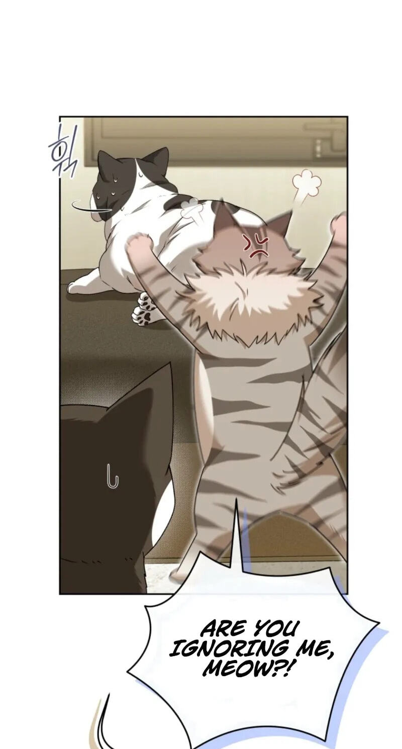 Hello, Mr. Veterinarian! Chapter 140 page 77 - 
