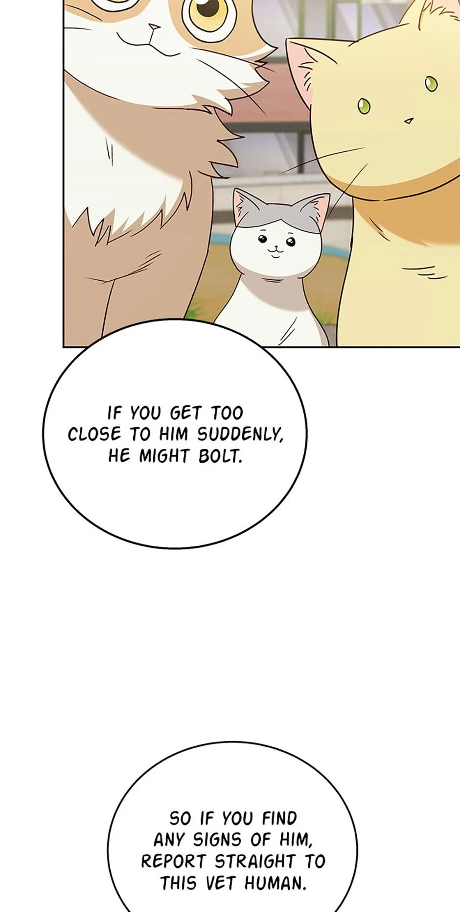 Hello, Mr. Veterinarian! Chapter 76 page 21 - 