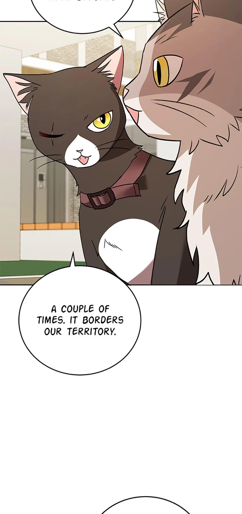 Hello, Mr. Veterinarian! Chapter 76 page 30 - 