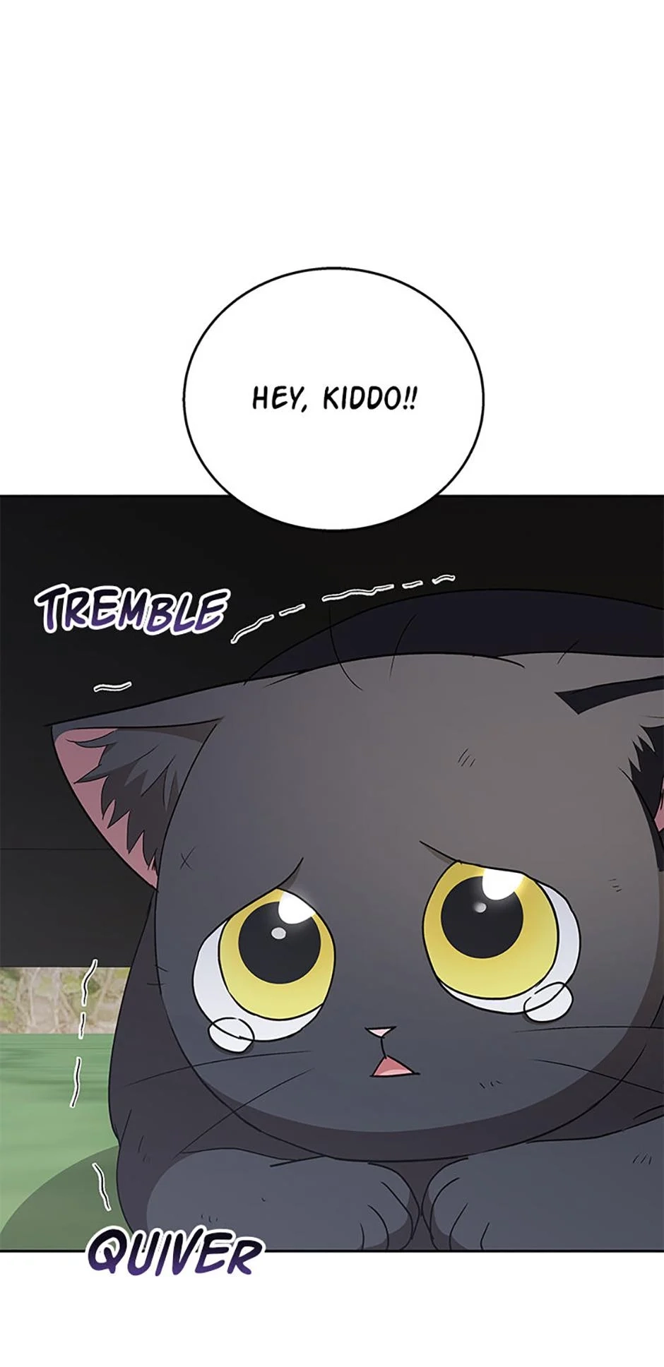 Hello, Mr. Veterinarian! Chapter 76 page 69 - 