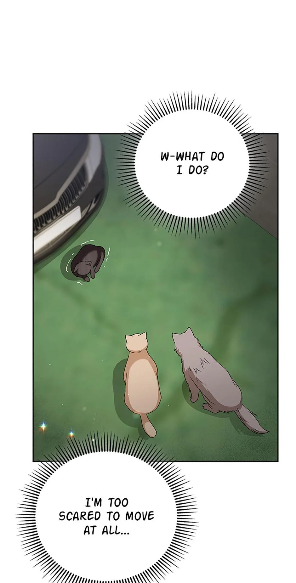 Hello, Mr. Veterinarian! Chapter 77 page 2 - 