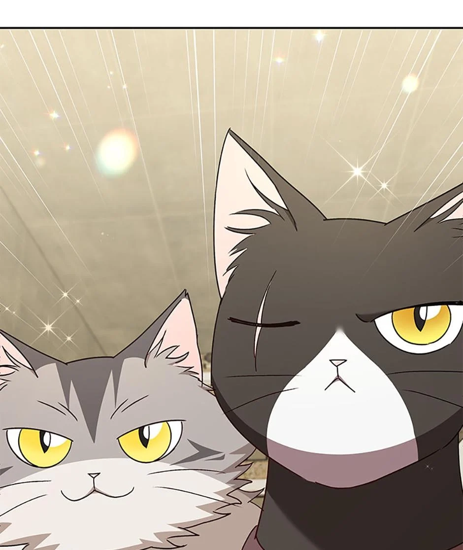 Hello, Mr. Veterinarian! Chapter 77 page 23 - 