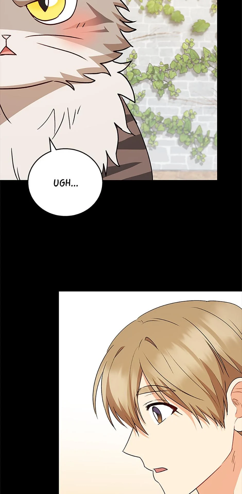 Hello, Mr. Veterinarian! Chapter 77 page 37 - 