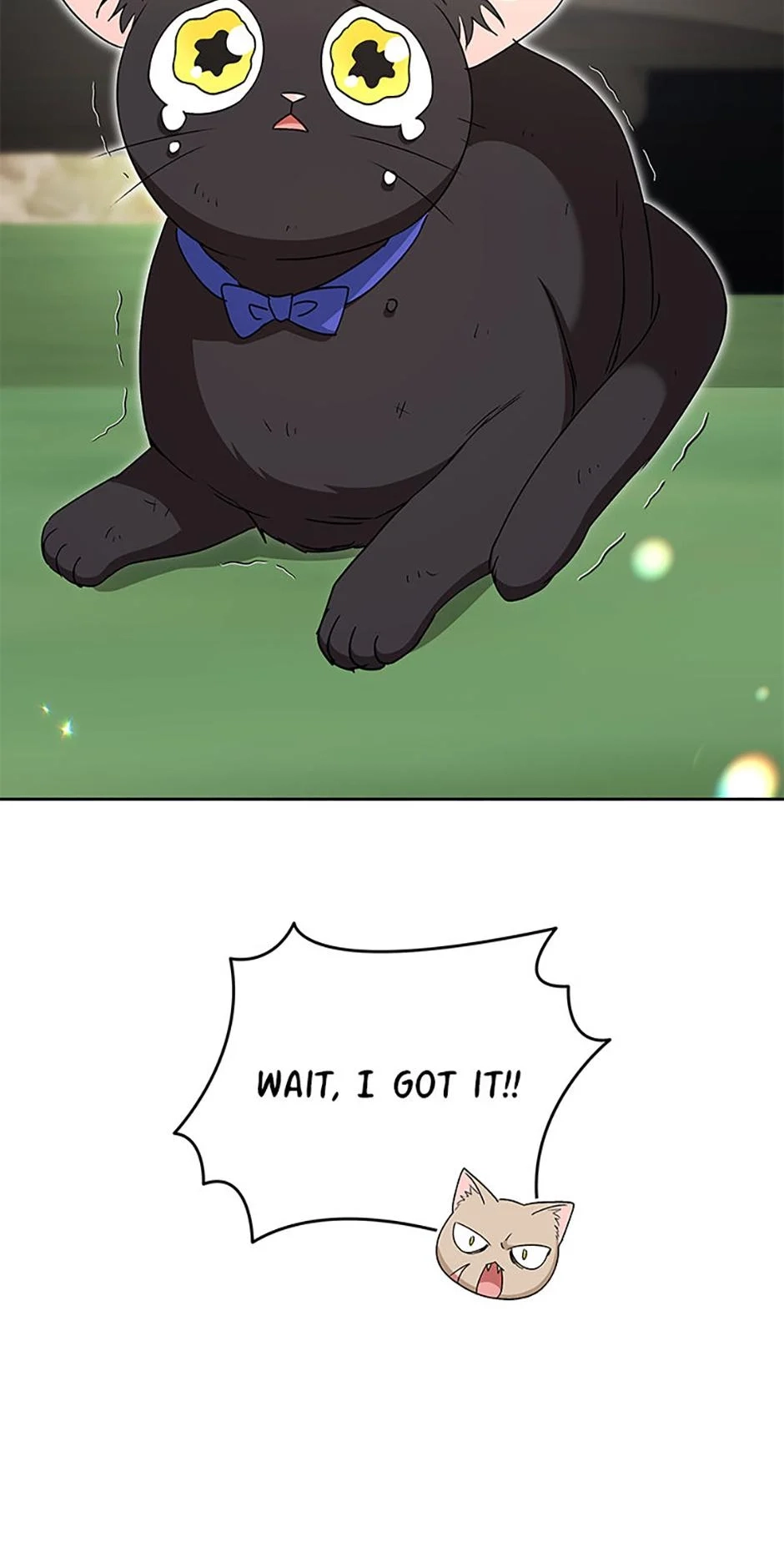 Hello, Mr. Veterinarian! Chapter 77 page 5 - 