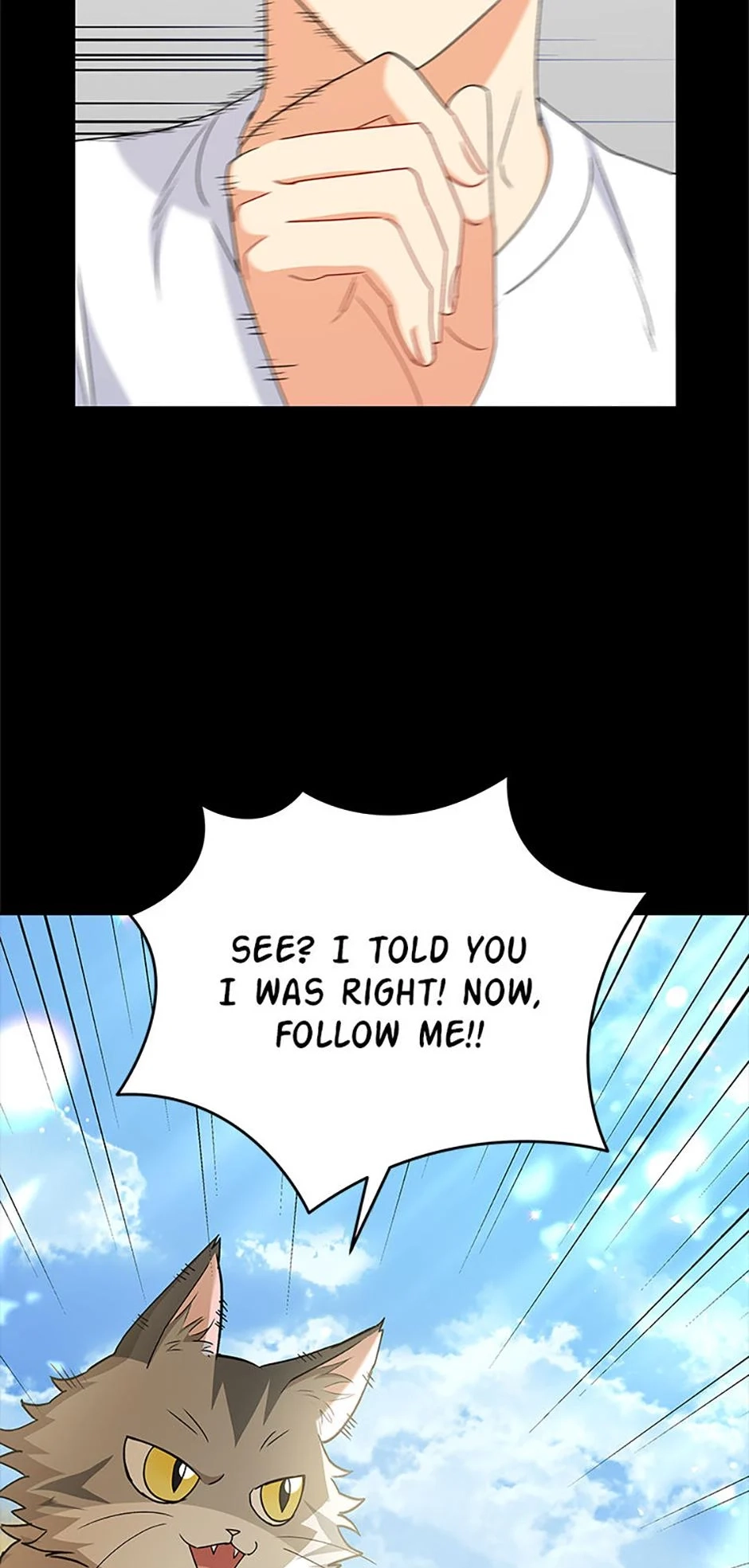 Hello, Mr. Veterinarian! Chapter 77 page 45 - 