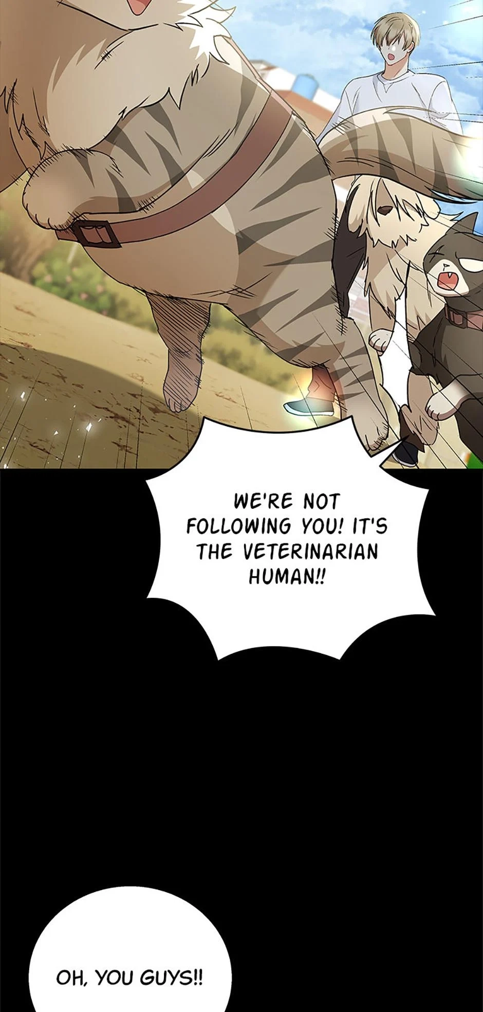 Hello, Mr. Veterinarian! Chapter 77 page 46 - 