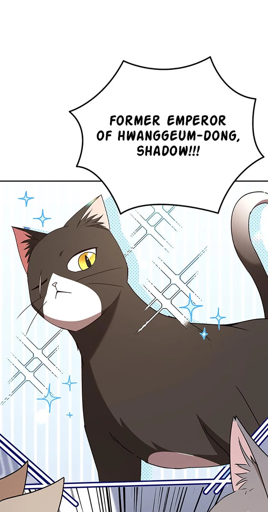 Hello, Mr. Veterinarian! Chapter 77 page 6 - 