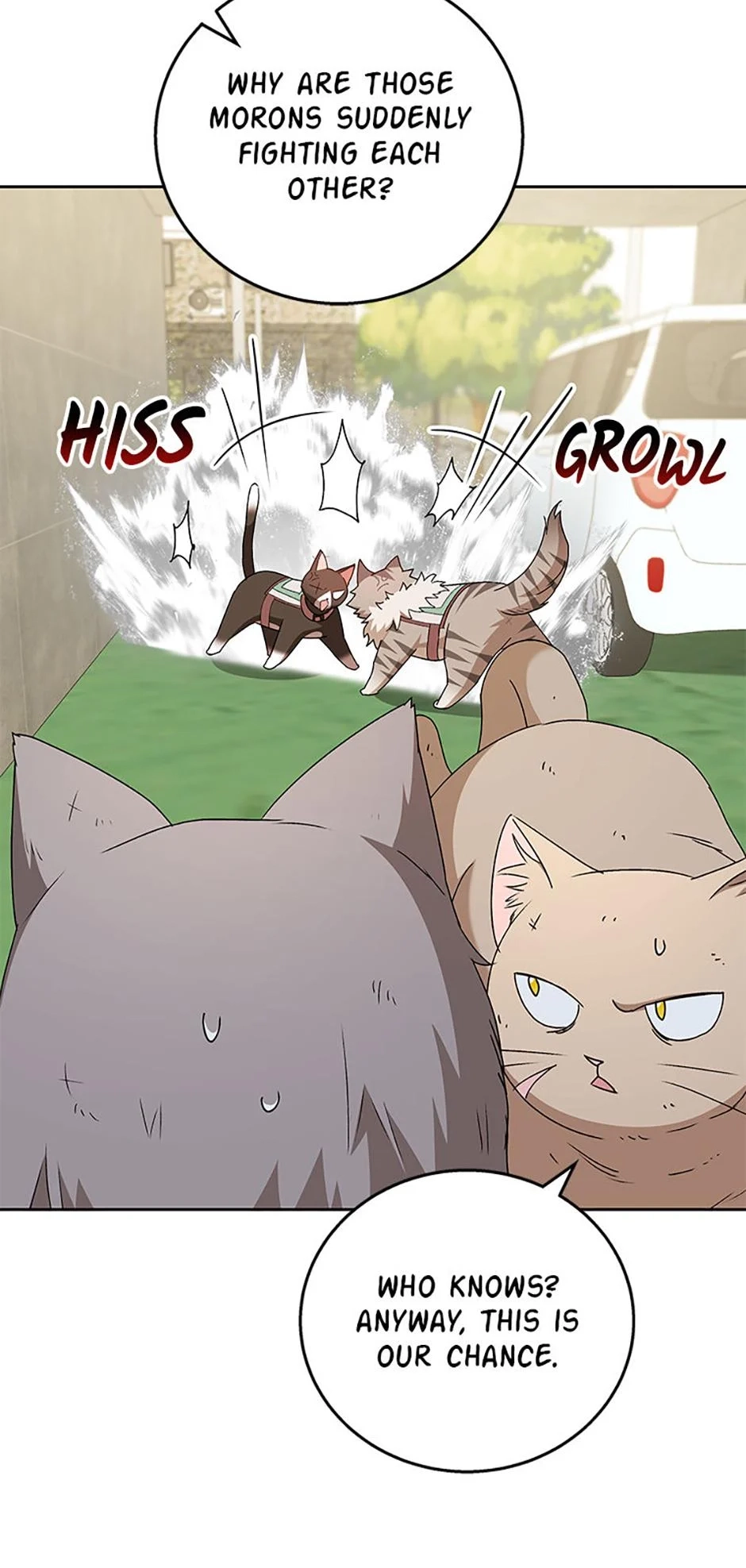 Hello, Mr. Veterinarian! Chapter 77 page 52 - 