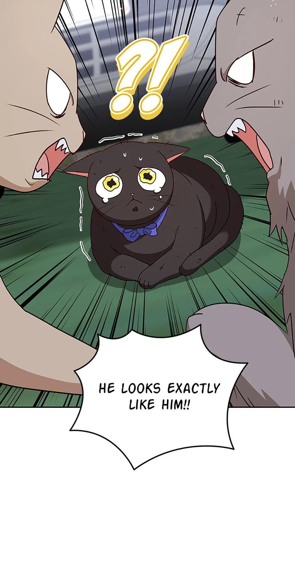 Hello, Mr. Veterinarian! Chapter 77 page 7 - 