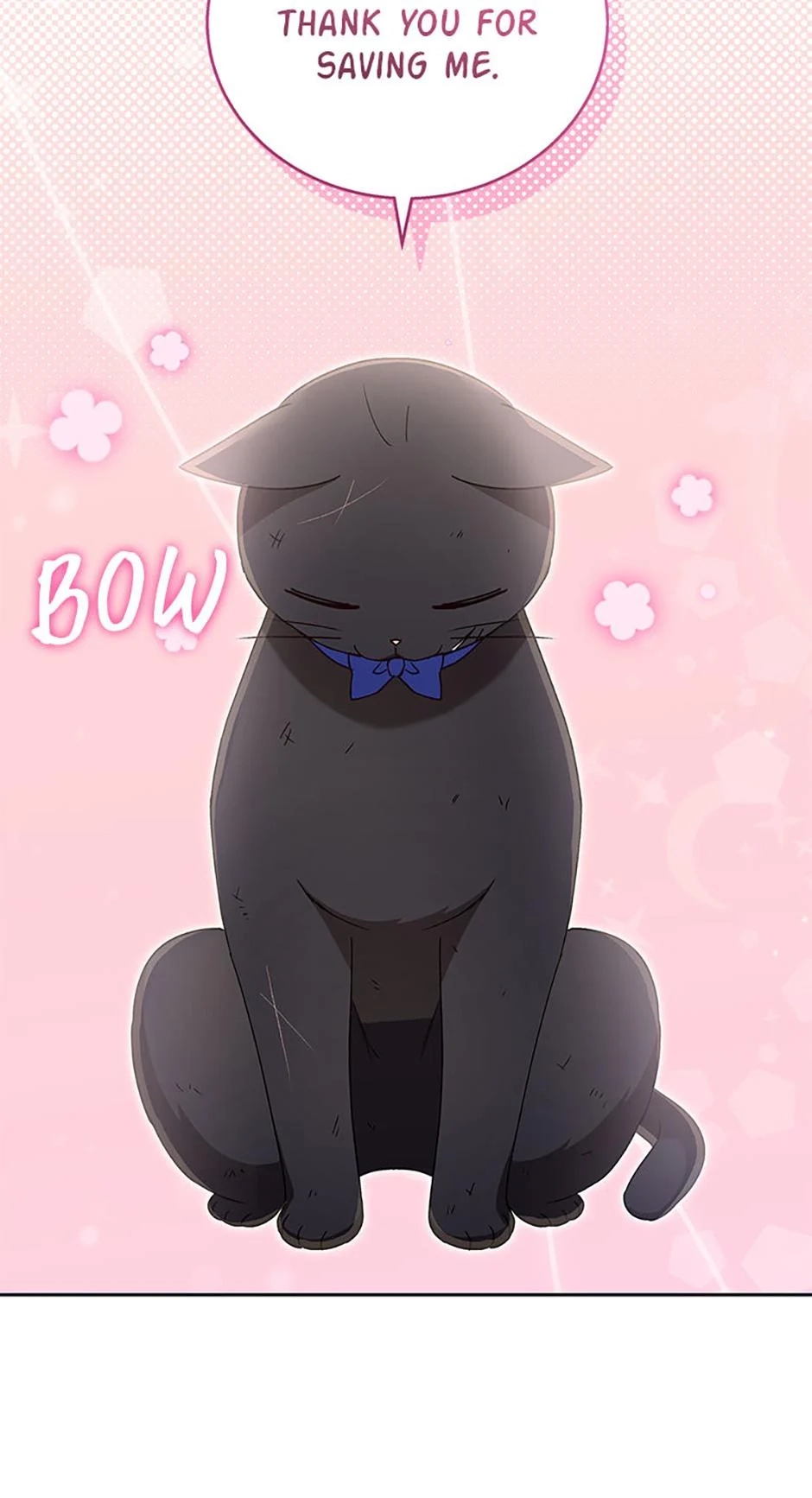 Hello, Mr. Veterinarian! Chapter 77 page 70 - 