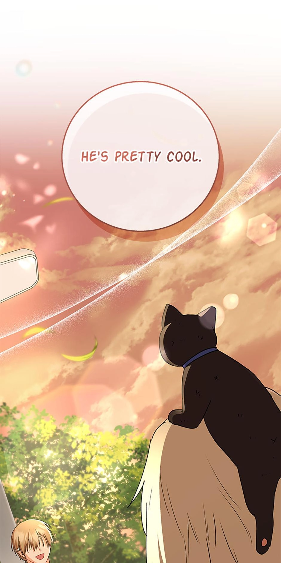 Hello, Mr. Veterinarian! Chapter 78 page 11 - 