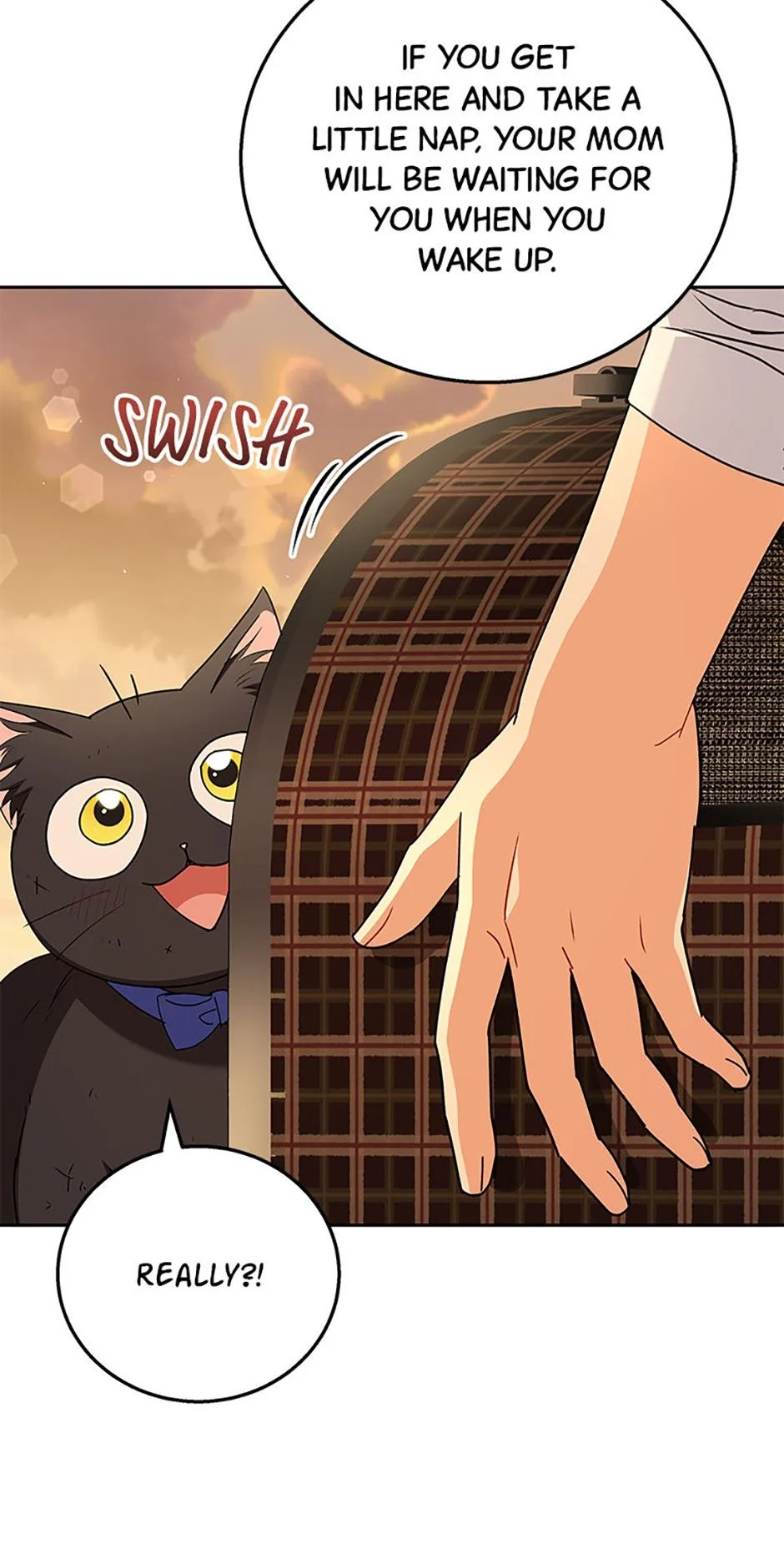 Hello, Mr. Veterinarian! Chapter 78 page 25 - 