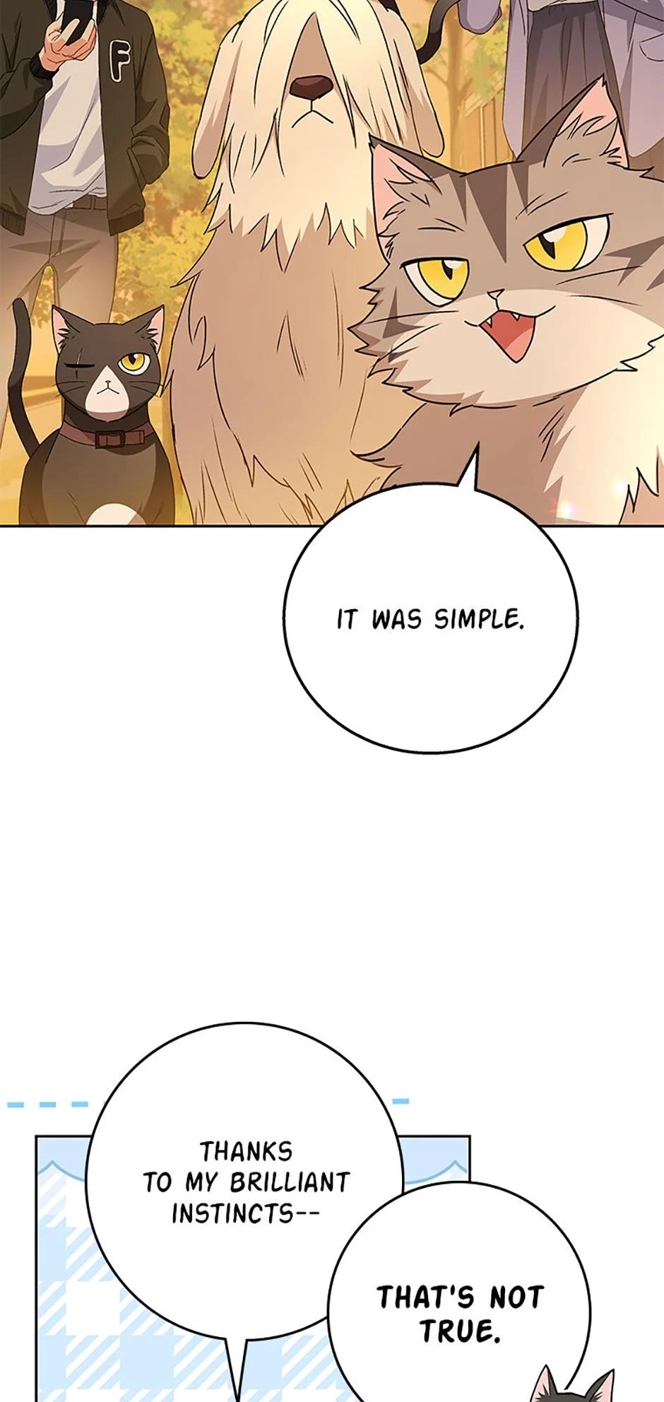 Hello, Mr. Veterinarian! Chapter 78 page 4 - 