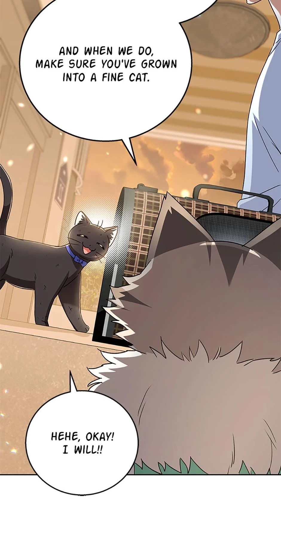 Hello, Mr. Veterinarian! Chapter 78 page 35 - 