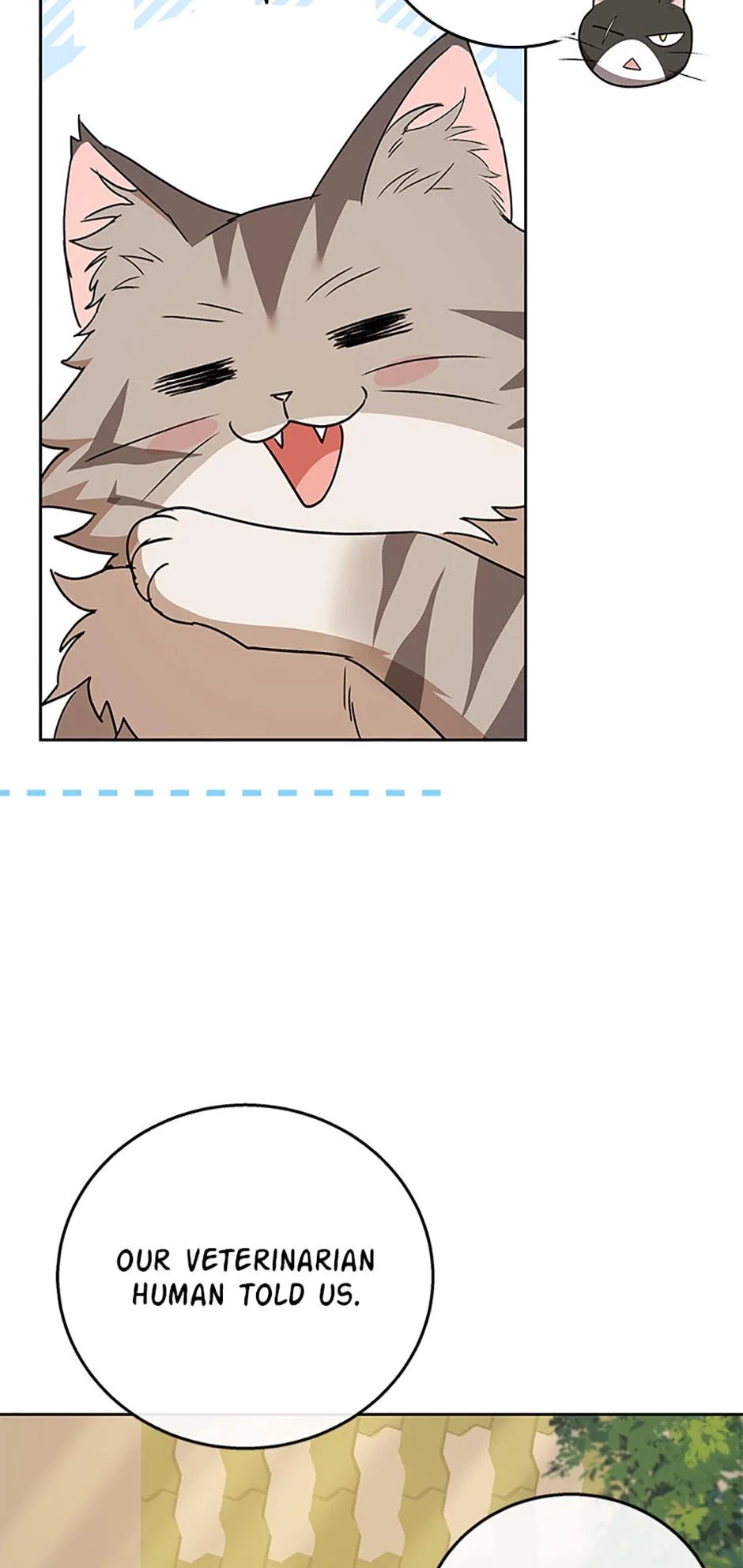 Hello, Mr. Veterinarian! Chapter 78 page 5 - 
