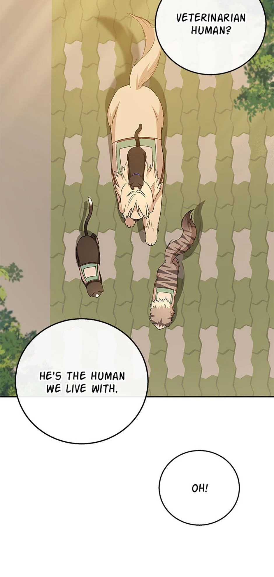 Hello, Mr. Veterinarian! Chapter 78 page 6 - 