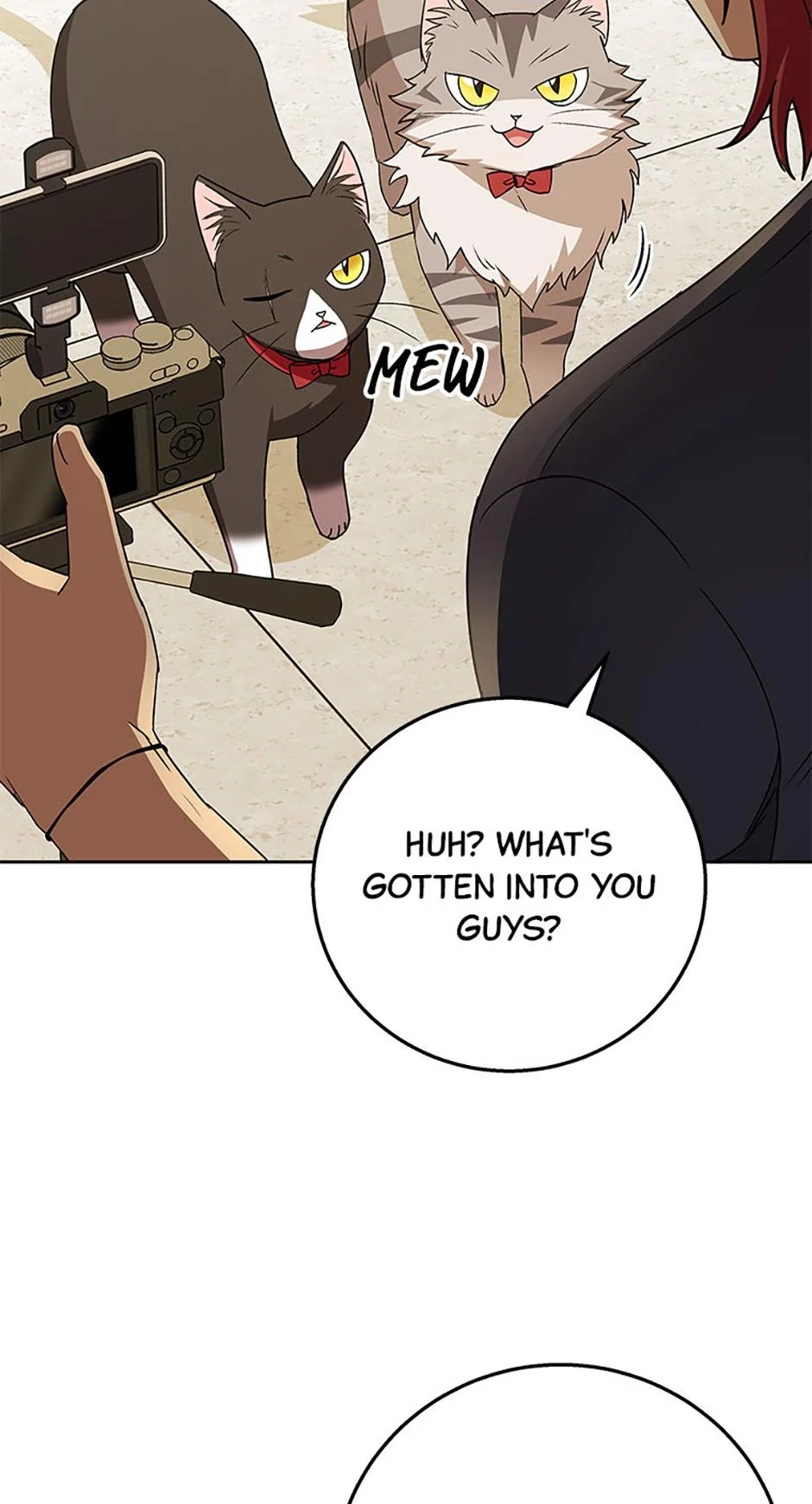 Hello, Mr. Veterinarian! Chapter 79 page 11 - 