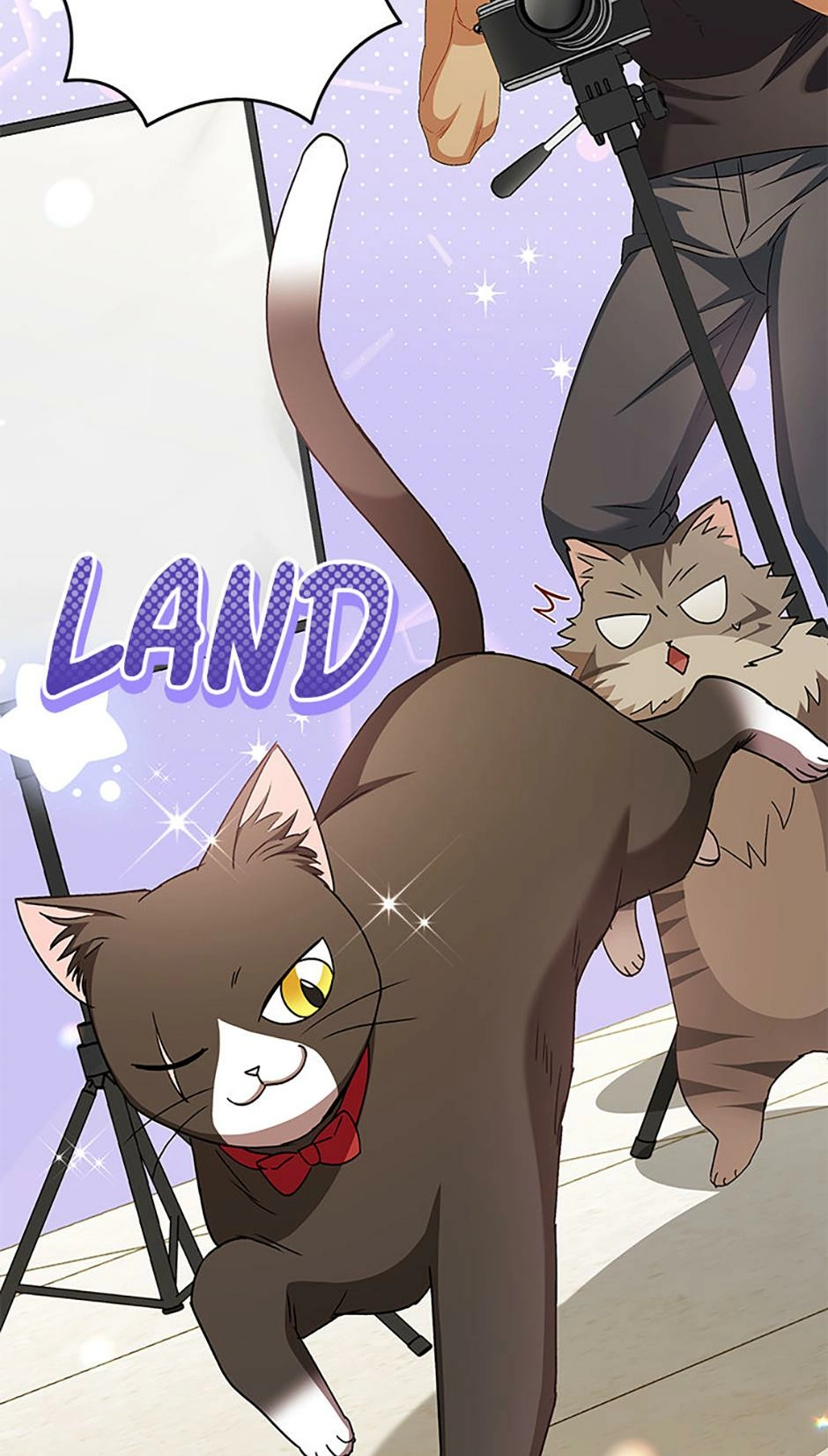 Hello, Mr. Veterinarian! Chapter 79 page 15 - 
