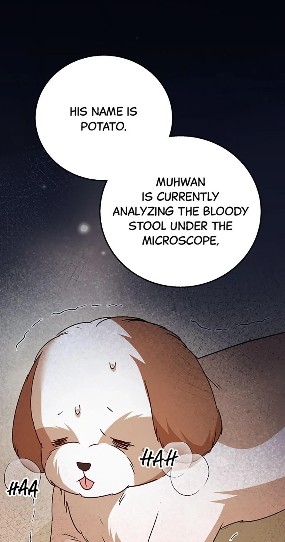 Hello, Mr. Veterinarian! Chapter 80 page 1 - 