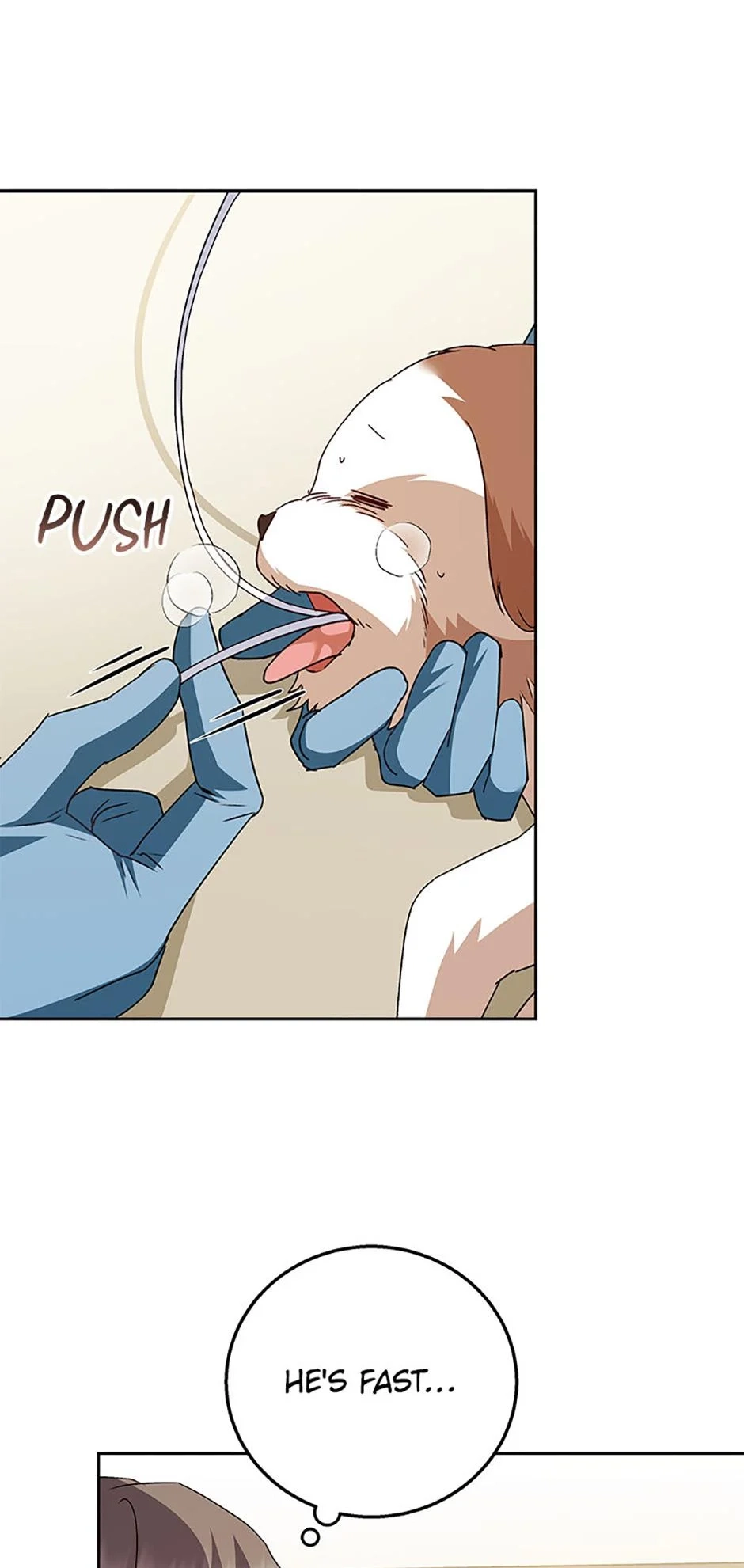 Hello, Mr. Veterinarian! Chapter 80 page 42 - 