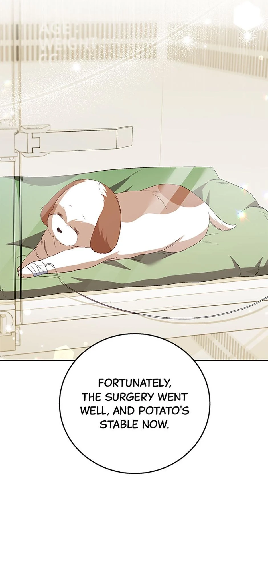 Hello, Mr. Veterinarian! Chapter 80 page 47 - 