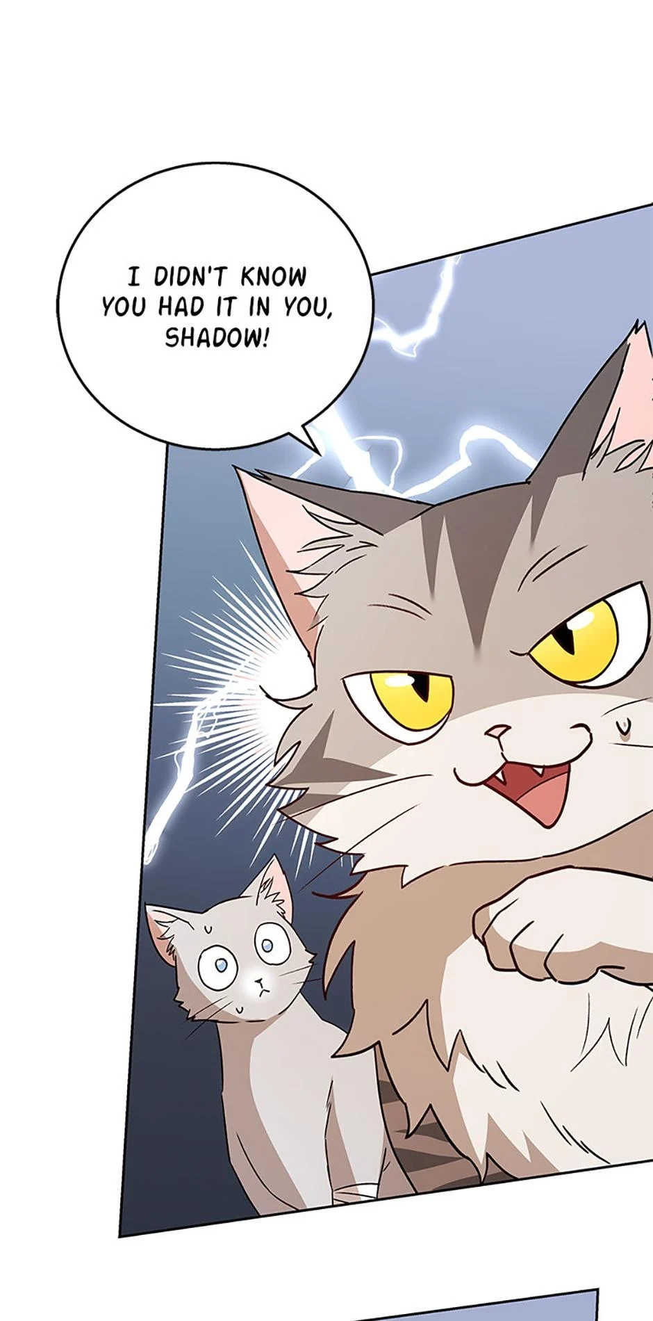 Hello, Mr. Veterinarian! Chapter 80 page 77 - 