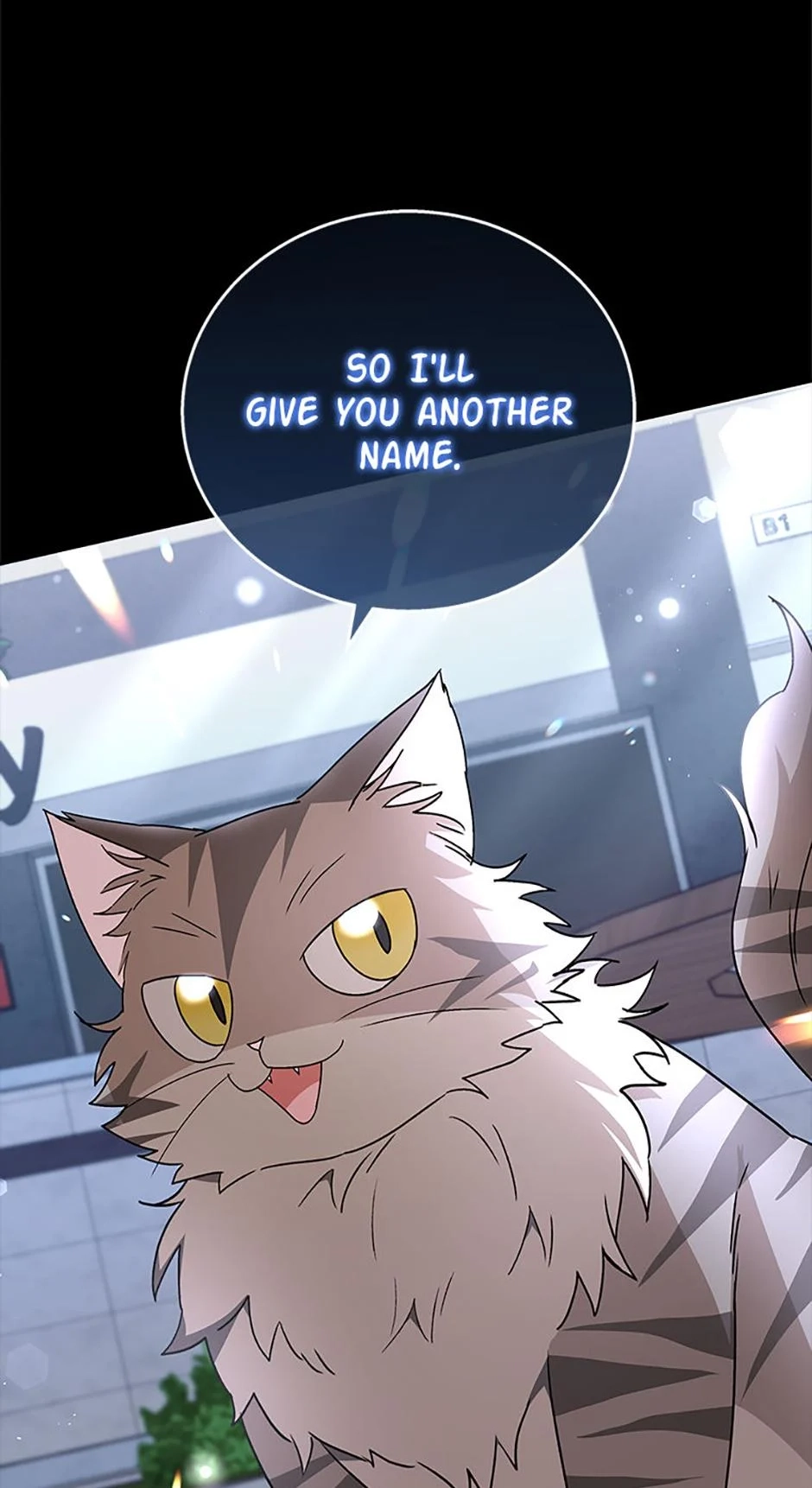 Hello, Mr. Veterinarian! Chapter 81 page 12 - 