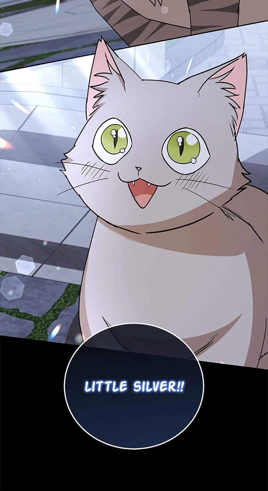 Hello, Mr. Veterinarian! Chapter 81 page 13 - 