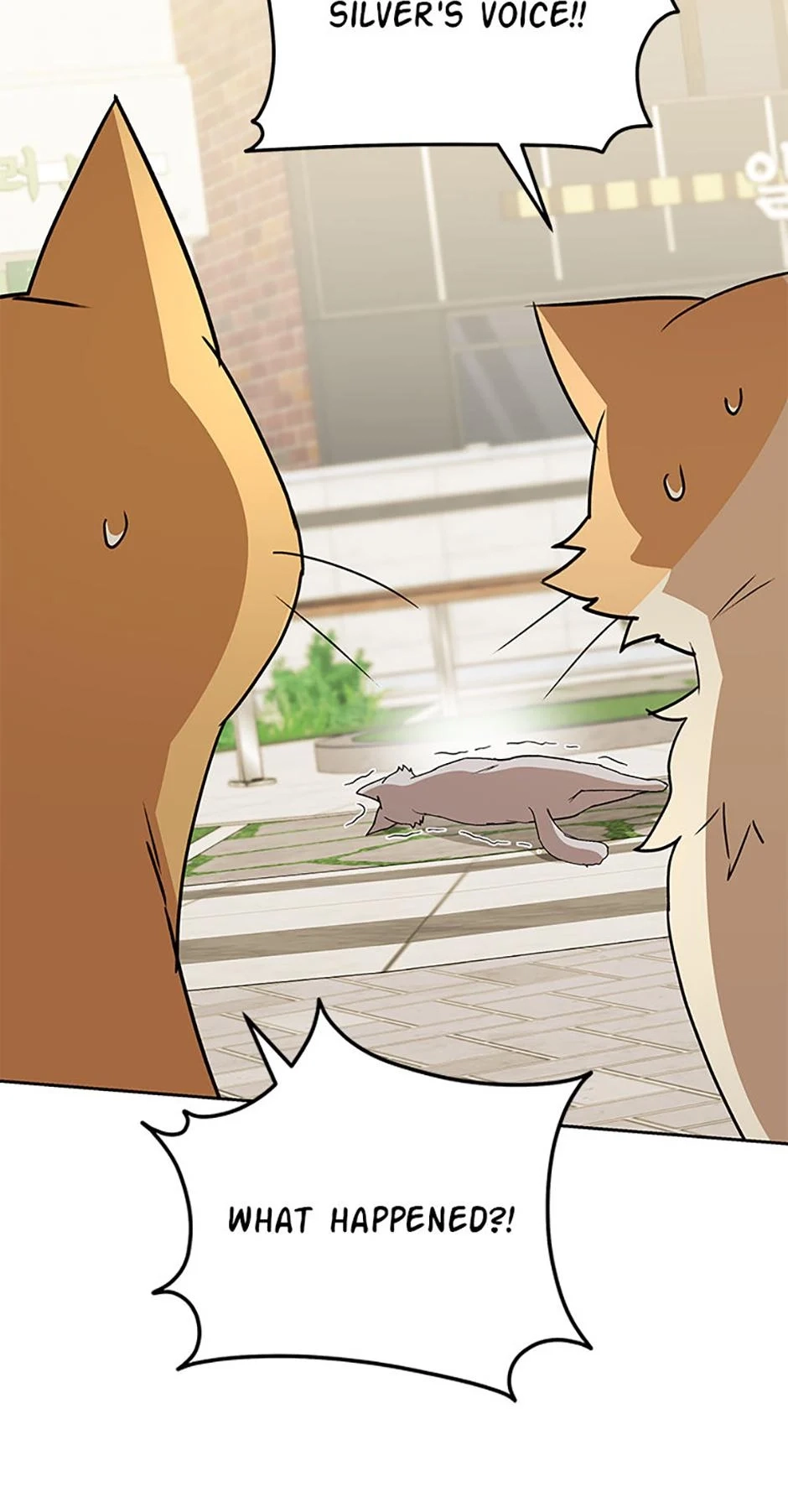 Hello, Mr. Veterinarian! Chapter 81 page 24 - 