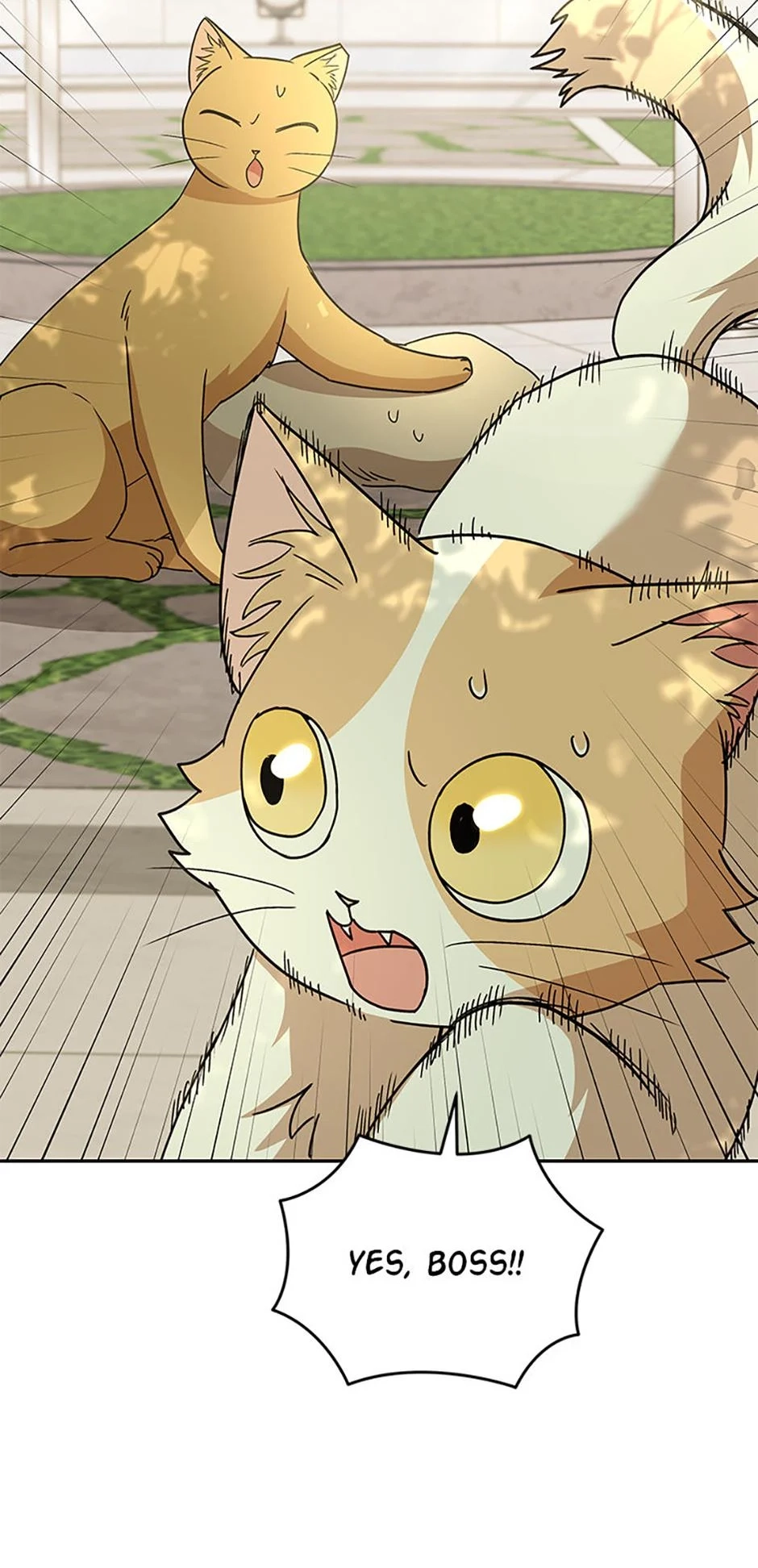 Hello, Mr. Veterinarian! Chapter 81 page 29 - 