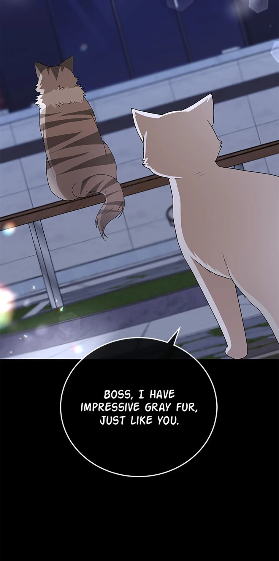 Hello, Mr. Veterinarian! Chapter 81 page 7 - 