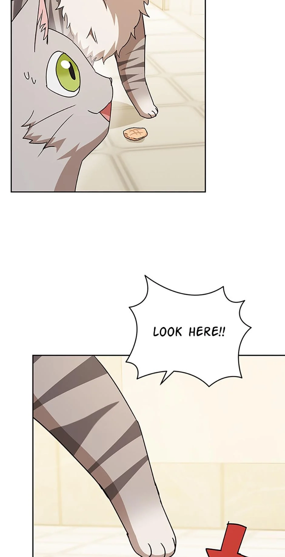 Hello, Mr. Veterinarian! Chapter 81 page 64 - 