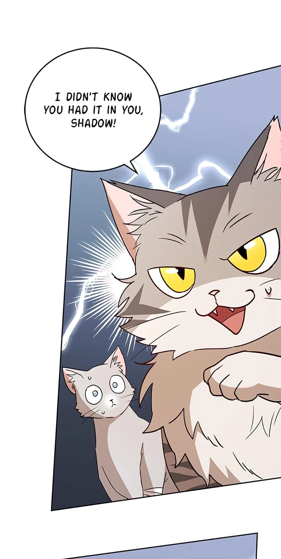 Hello, Mr. Veterinarian! Chapter 81 page 73 - 