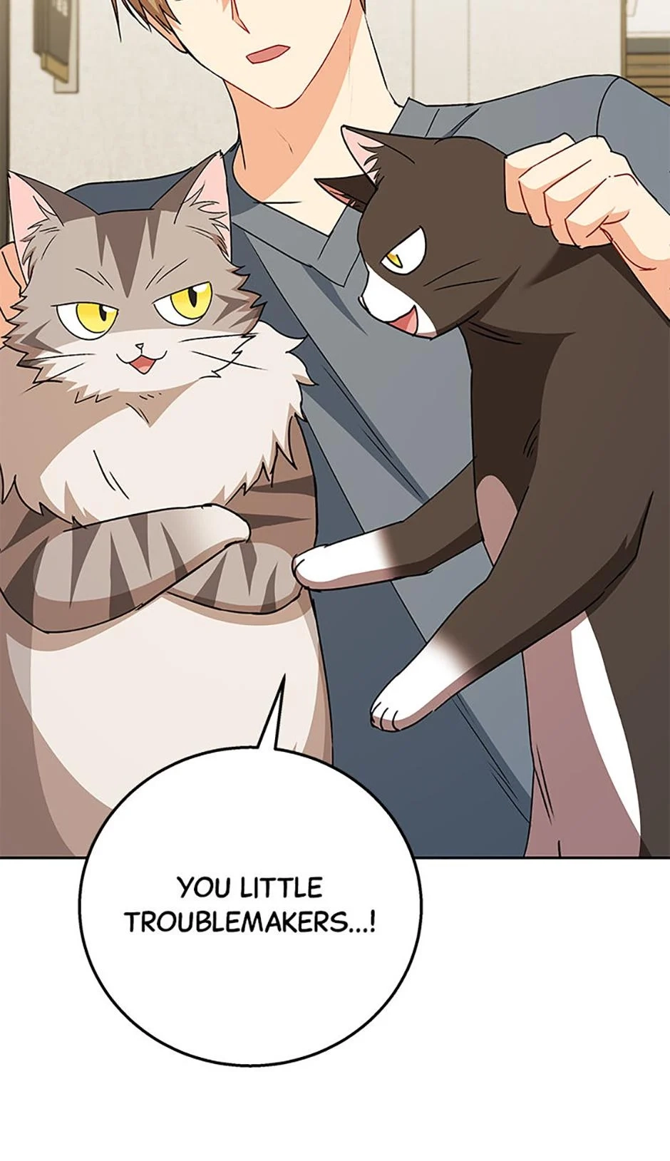 Hello, Mr. Veterinarian! Chapter 81 page 84 - 