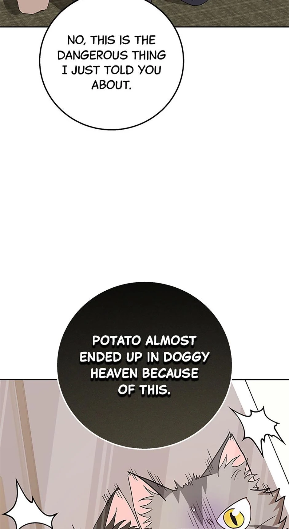 Hello, Mr. Veterinarian! Chapter 82 page 12 - 