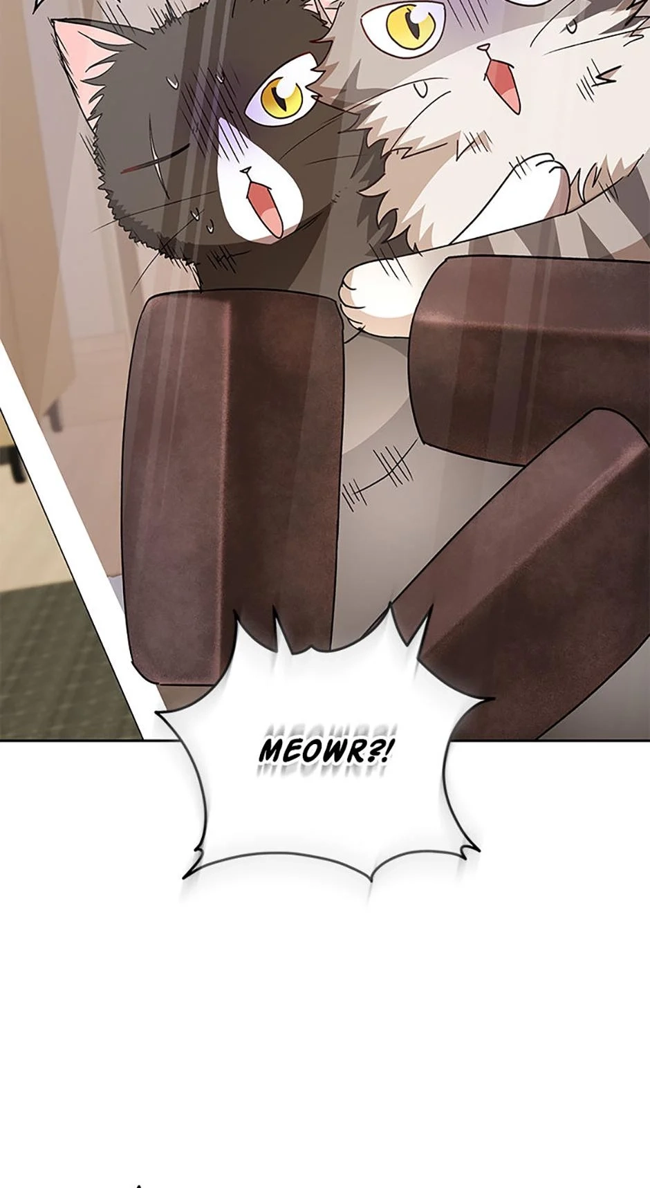 Hello, Mr. Veterinarian! Chapter 82 page 13 - 